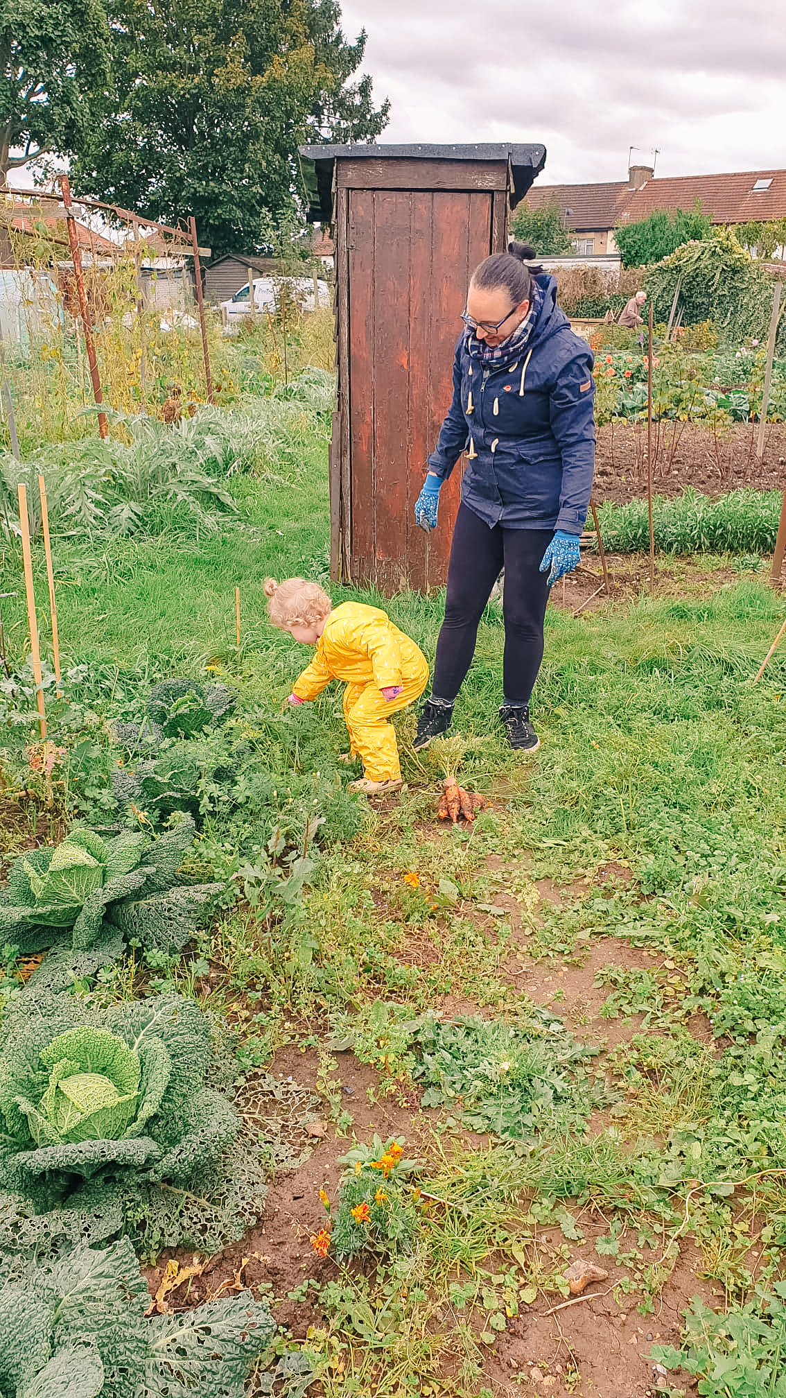 Woman and toddler picking carrots from the ground