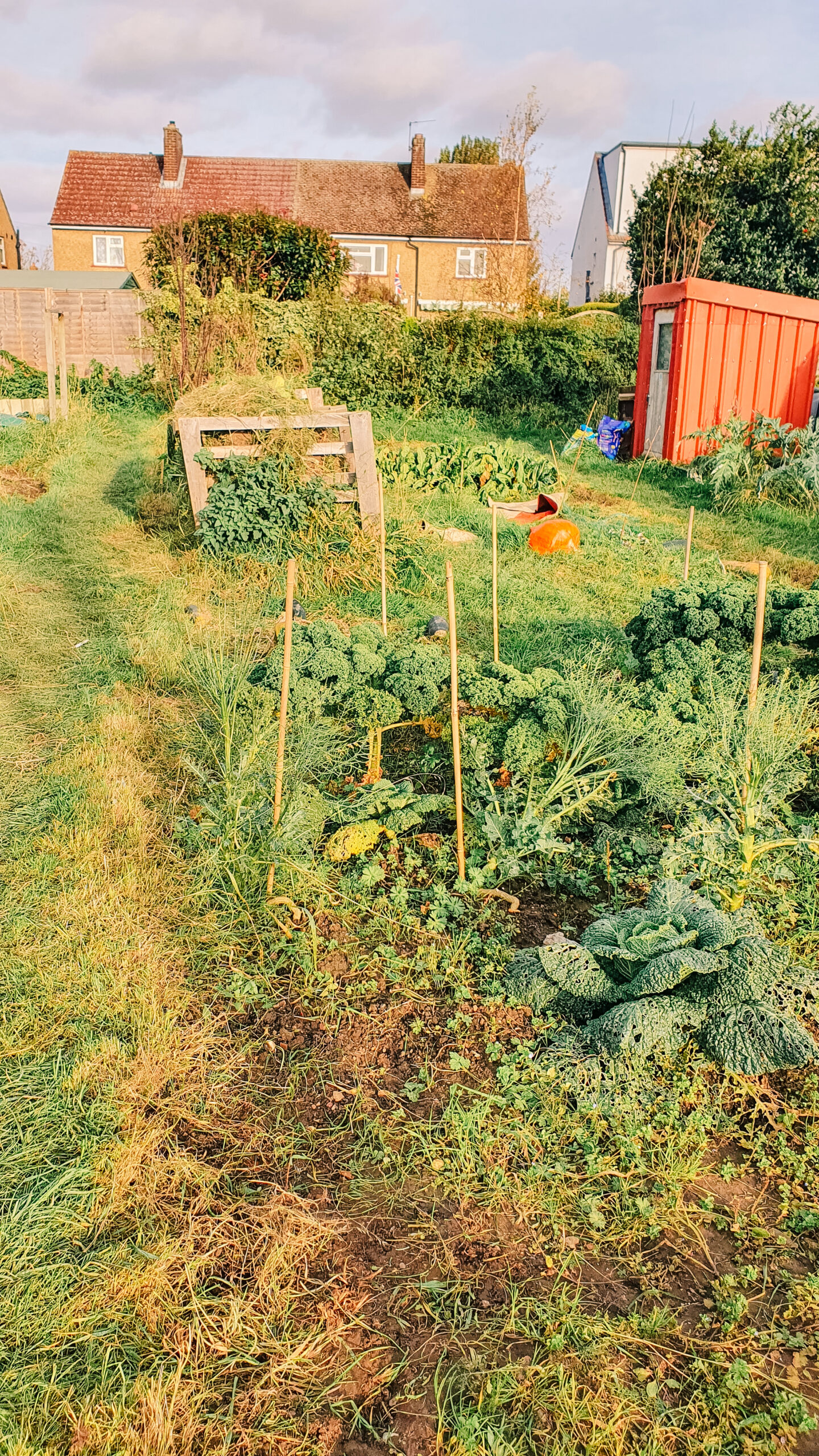 view of the allotment
