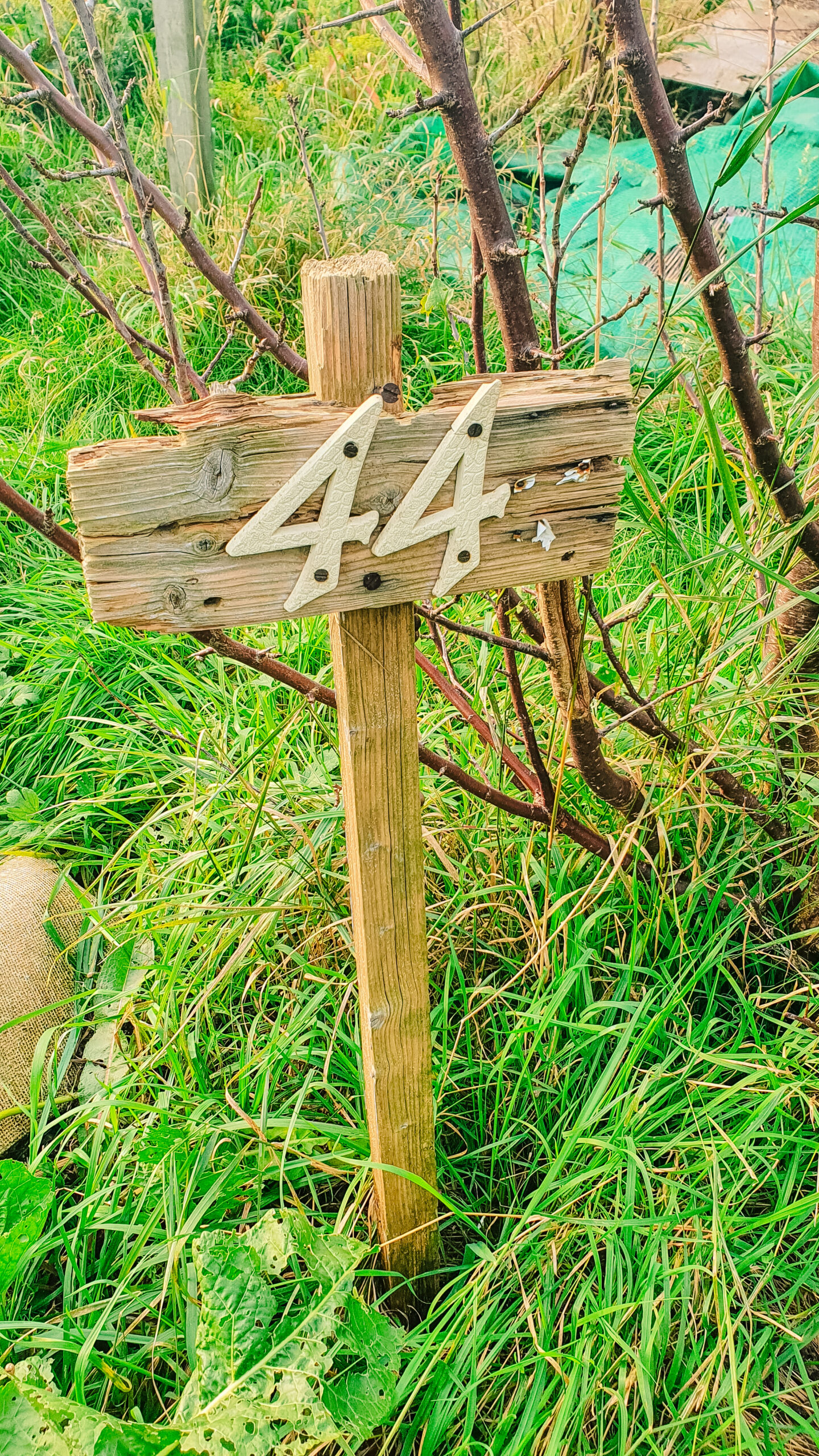 wooden sign with the number 44 on on our allotment