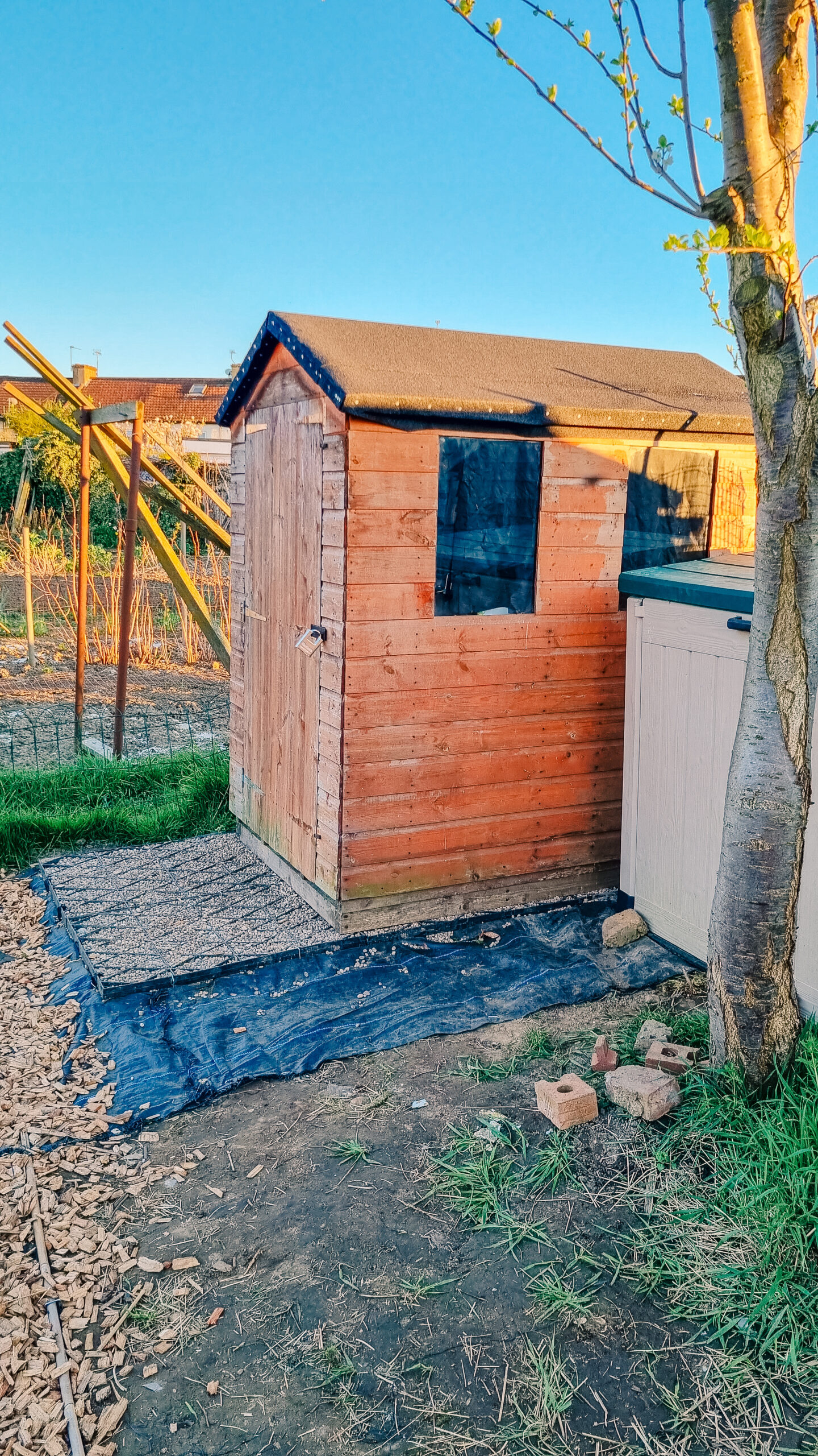 Shed on the plot